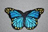 Applikation/Bgelbild Schmetterling Blue Saphir