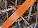 Satin Schrägband gefalzt 20 mm neon orange