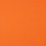 Bio Jersey uni Orange 024