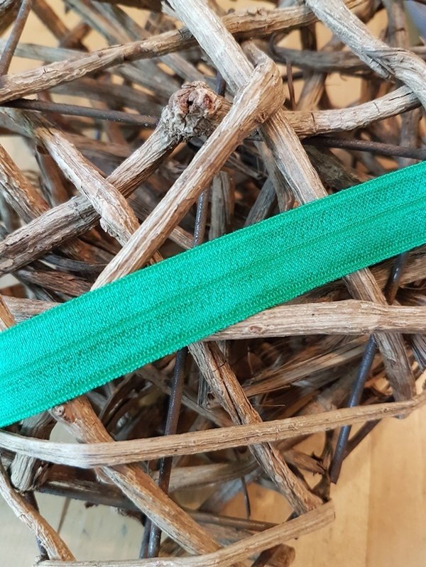 Elastisches Einfassband 15 mm grün (20)